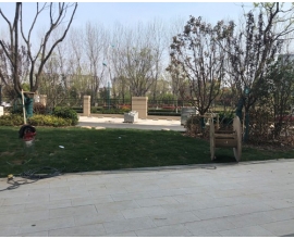 入戶(hù)口及停車(chē)位